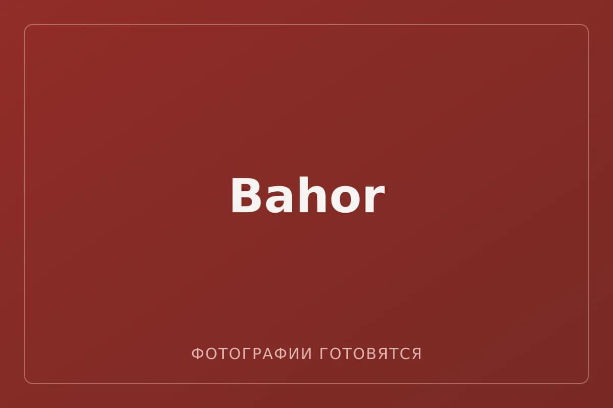 Bahor — фотографии пока не загружены
